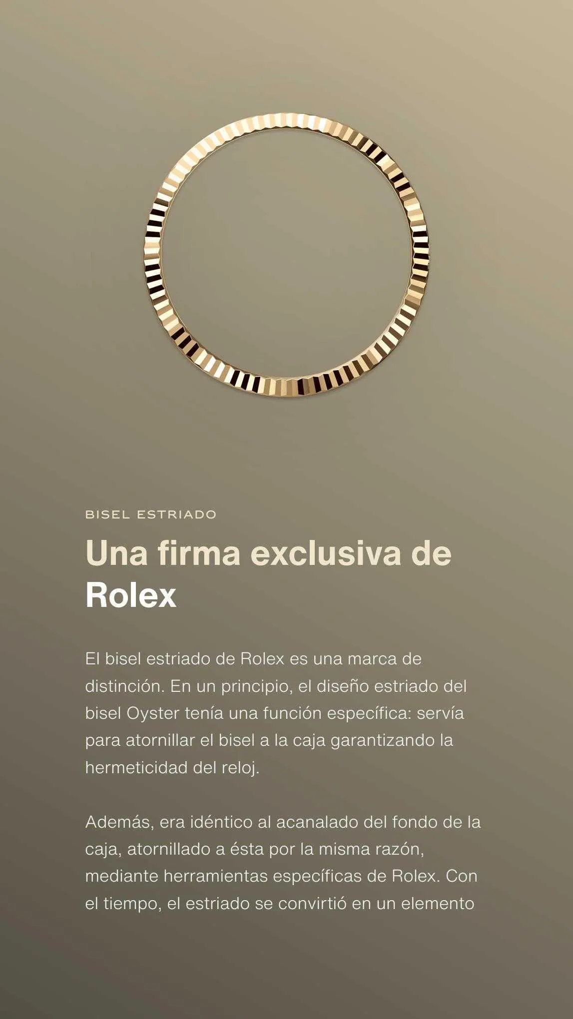 Catálogo de Rolex Folleto 14 de julio al 31 de diciembre 2023 - Página 4