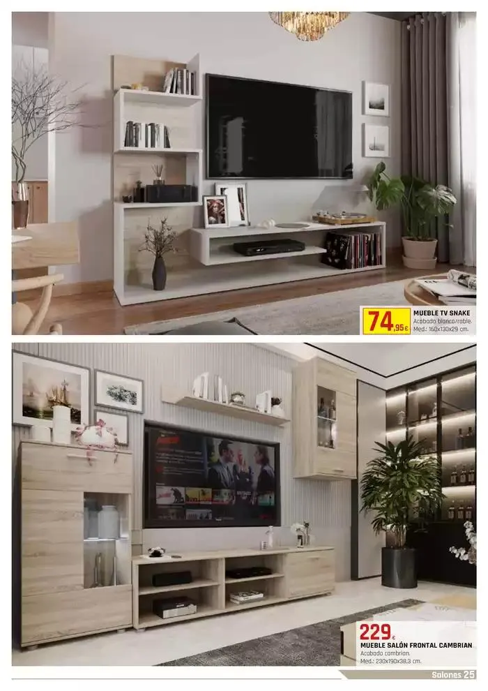 Catálogo de ESPECIAL PROYECTOS 15 de enero al 30 de marzo 2025 - Página 25