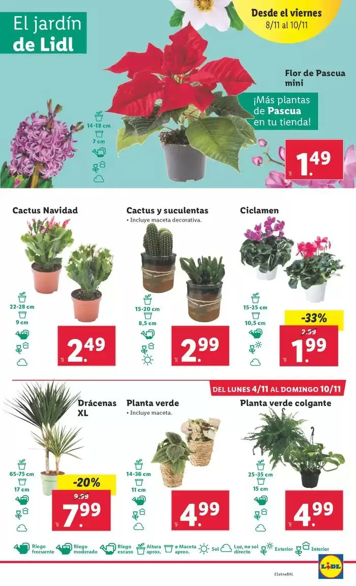 Catálogo de ¡Bazar Lidl! 4 de noviembre al 10 de noviembre 2024 - Página 49