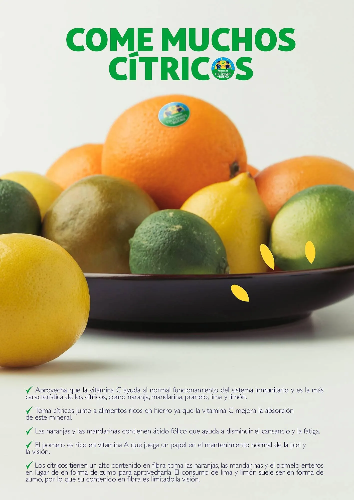 Catálogo de Folleto Alcampo 23 de abril al 31 de diciembre 2025 - Página 21