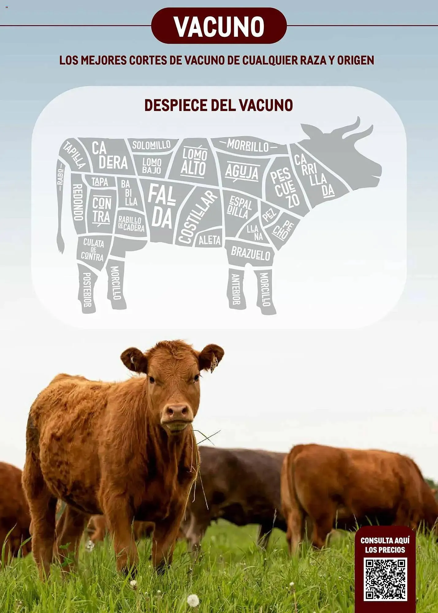 Catálogo de Catálogo Makro 9 de marzo al 5 de abril 2026 - Página 3