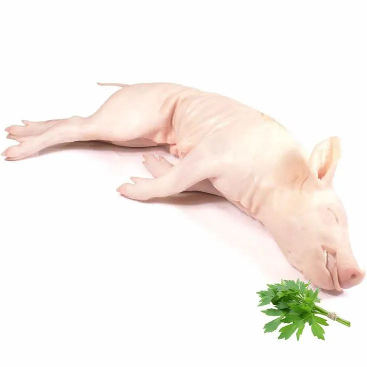 COCHINILLO FRESCO, MAS DE 3KG APROX, KG PLAZA