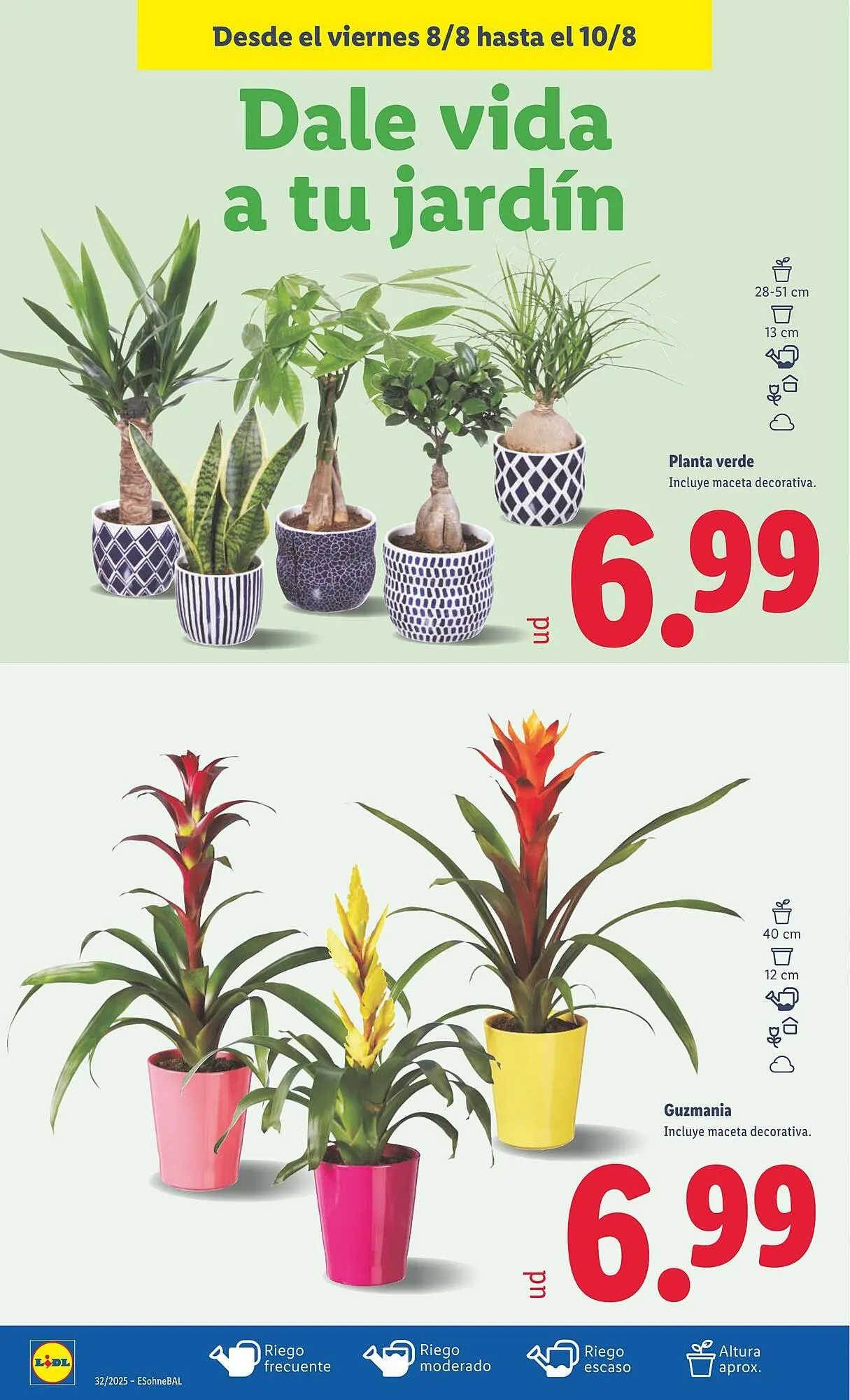 Catálogo de Folleto Lidl 4 de agosto al 10 de agosto 2025 - Página 64