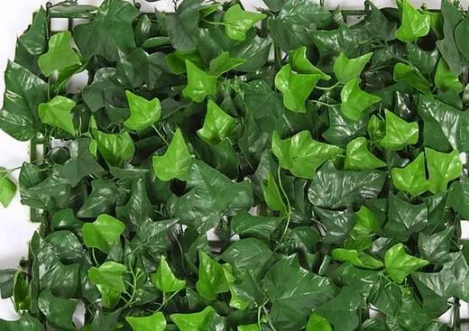 Seto decorativo HIEDRA 1.00x1.00