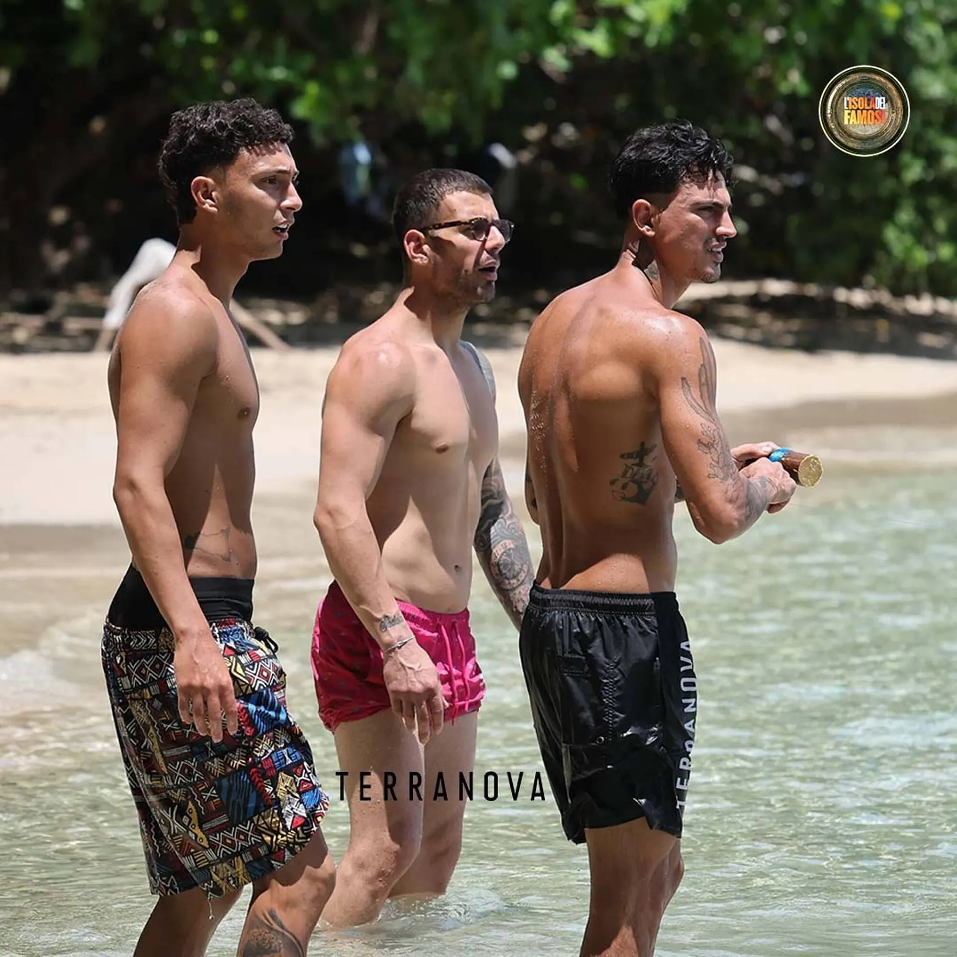 Catálogo de Folleto Terranova 3 de julio al 16 de julio 2025 - Página 5