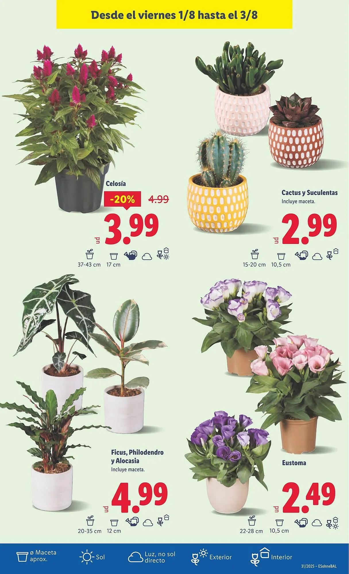 Catálogo de Folleto Lidl 28 de julio al 3 de agosto 2025 - Página 27