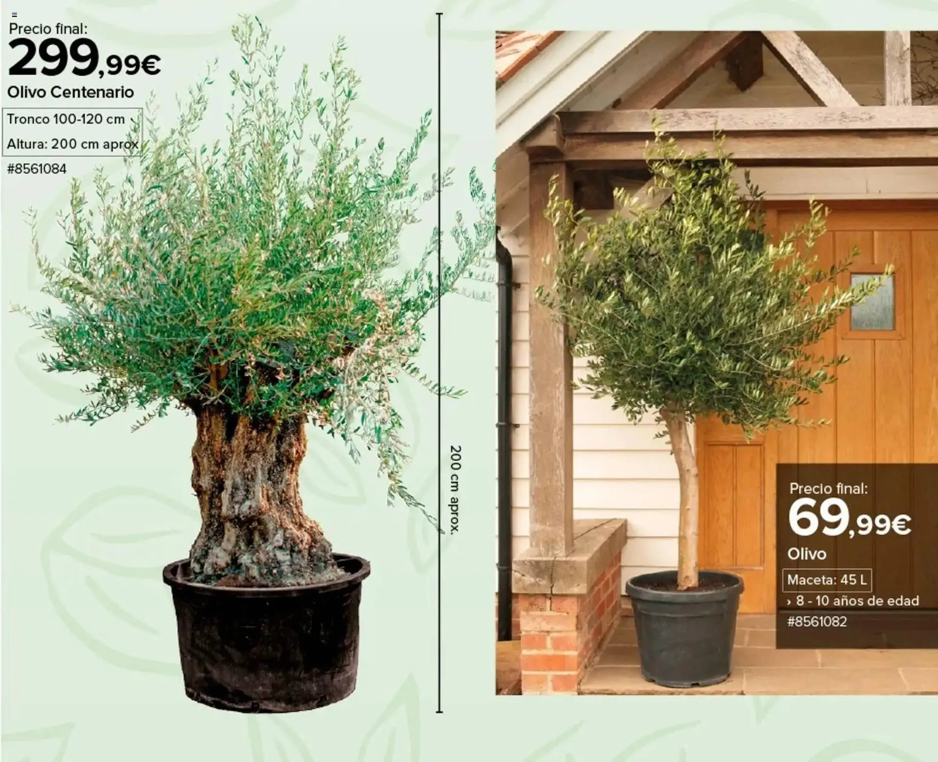 Catálogo de Catálogo Costco 4 de marzo al 8 de marzo 2026 - Página 4