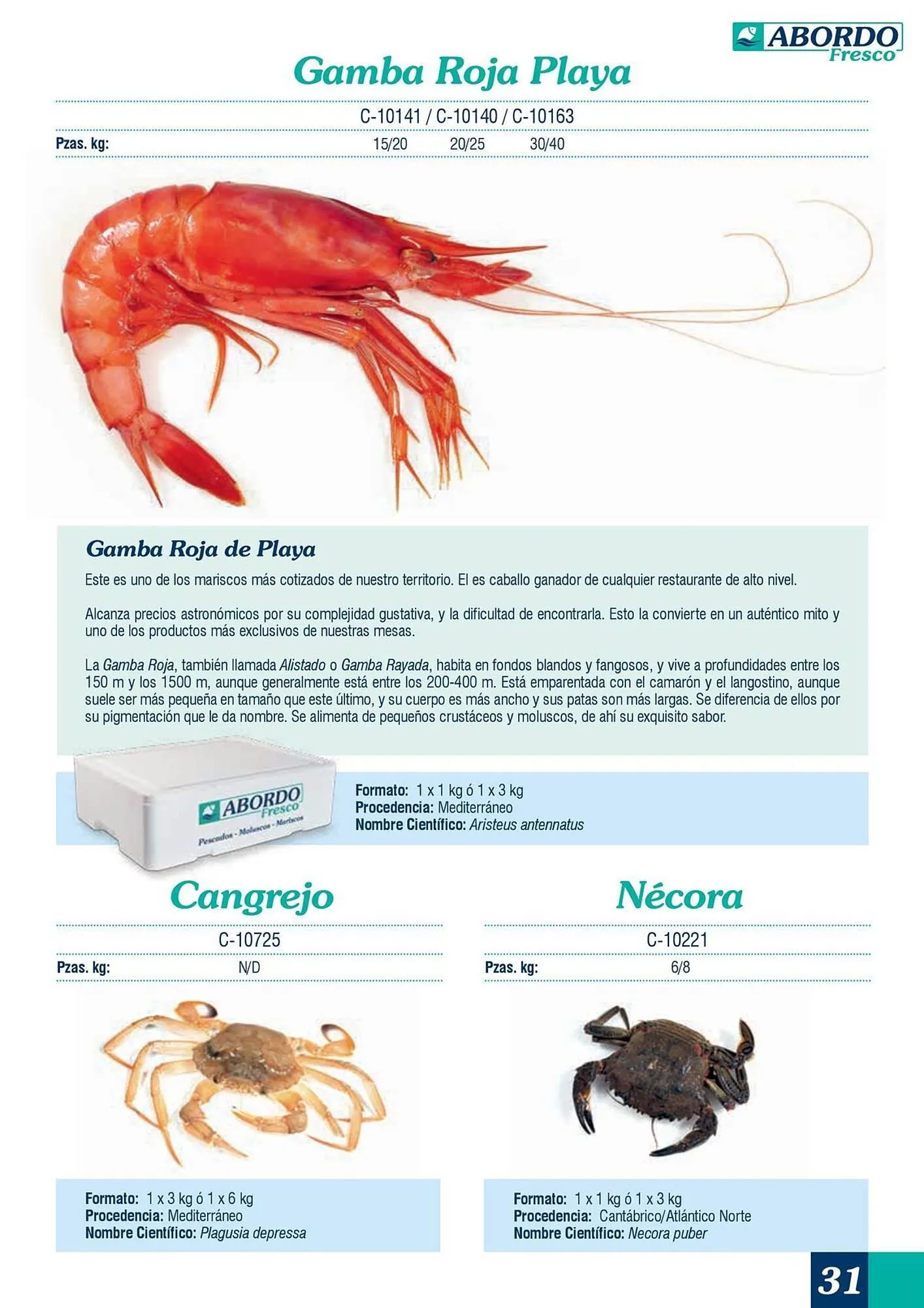 Catálogo de Folleto Abordo 5 de marzo al 30 de junio 2026 - Página 31