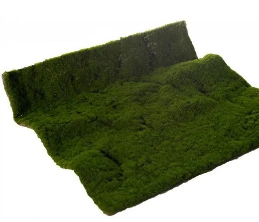 Musgo Artificial 50x50cm