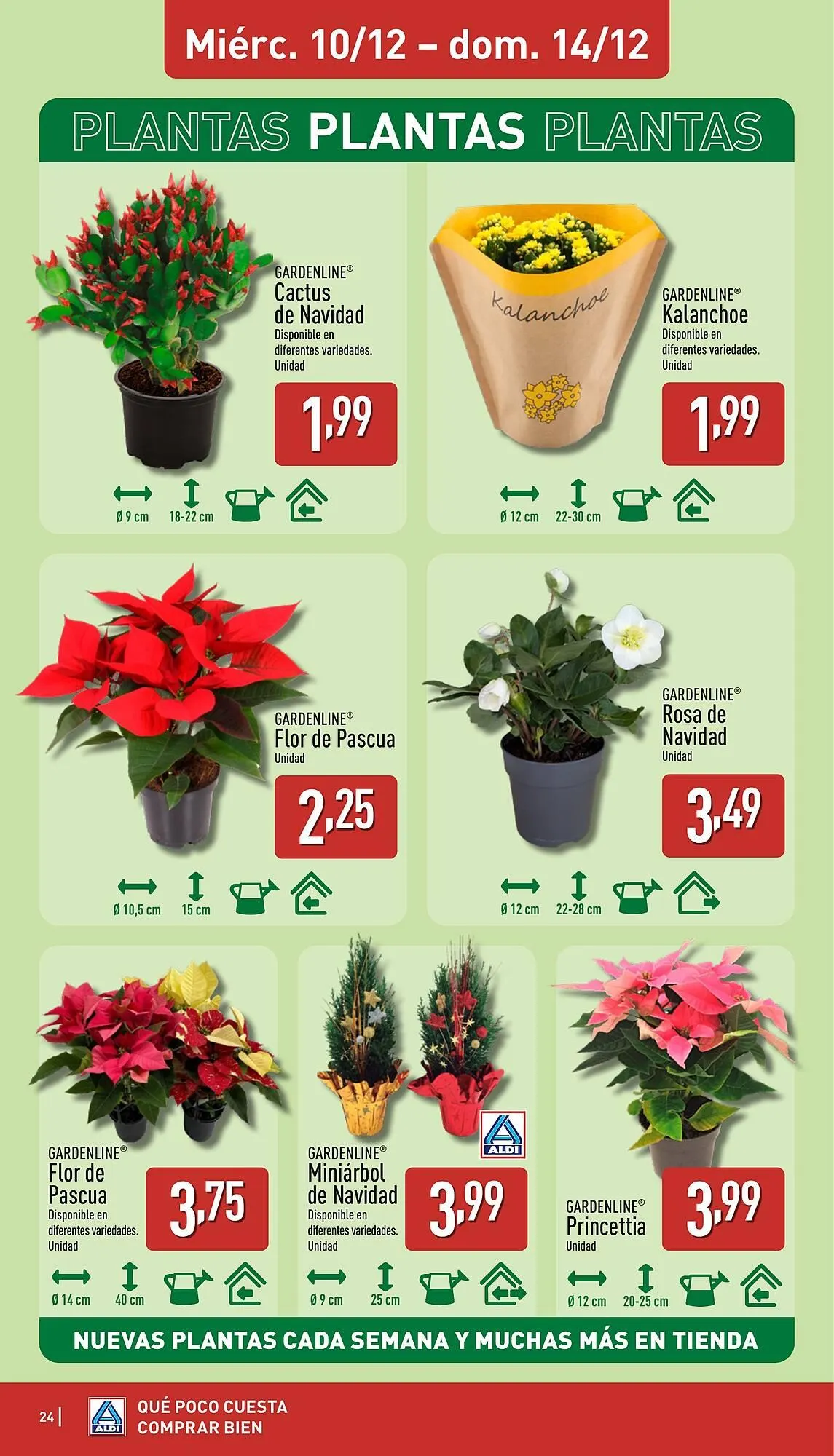 Catálogo de Folleto ALDI 8 de diciembre al 14 de diciembre 2025 - Página 24