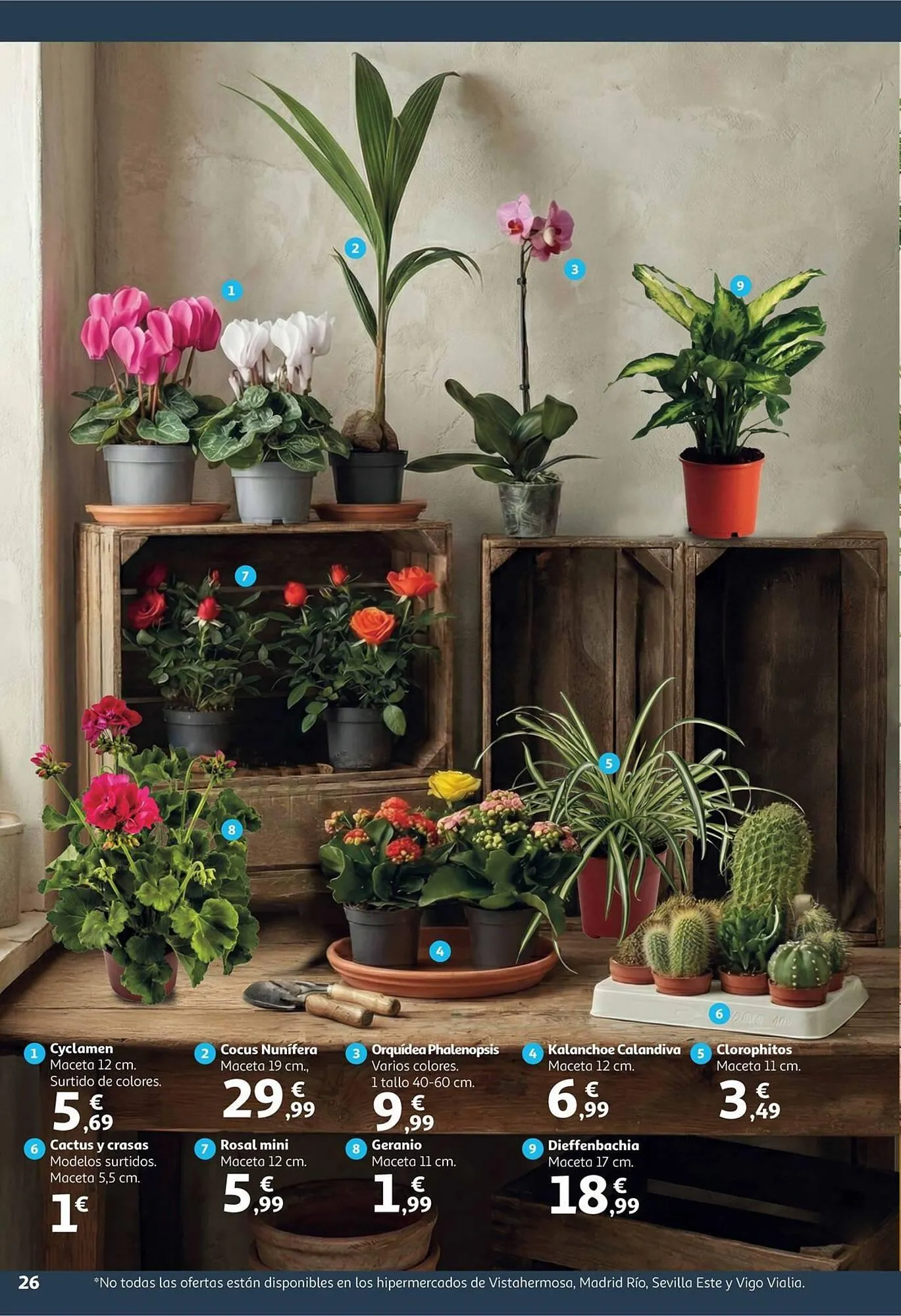 Catálogo de Folleto Alcampo 9 de enero al 25 de enero 2026 - Página 26