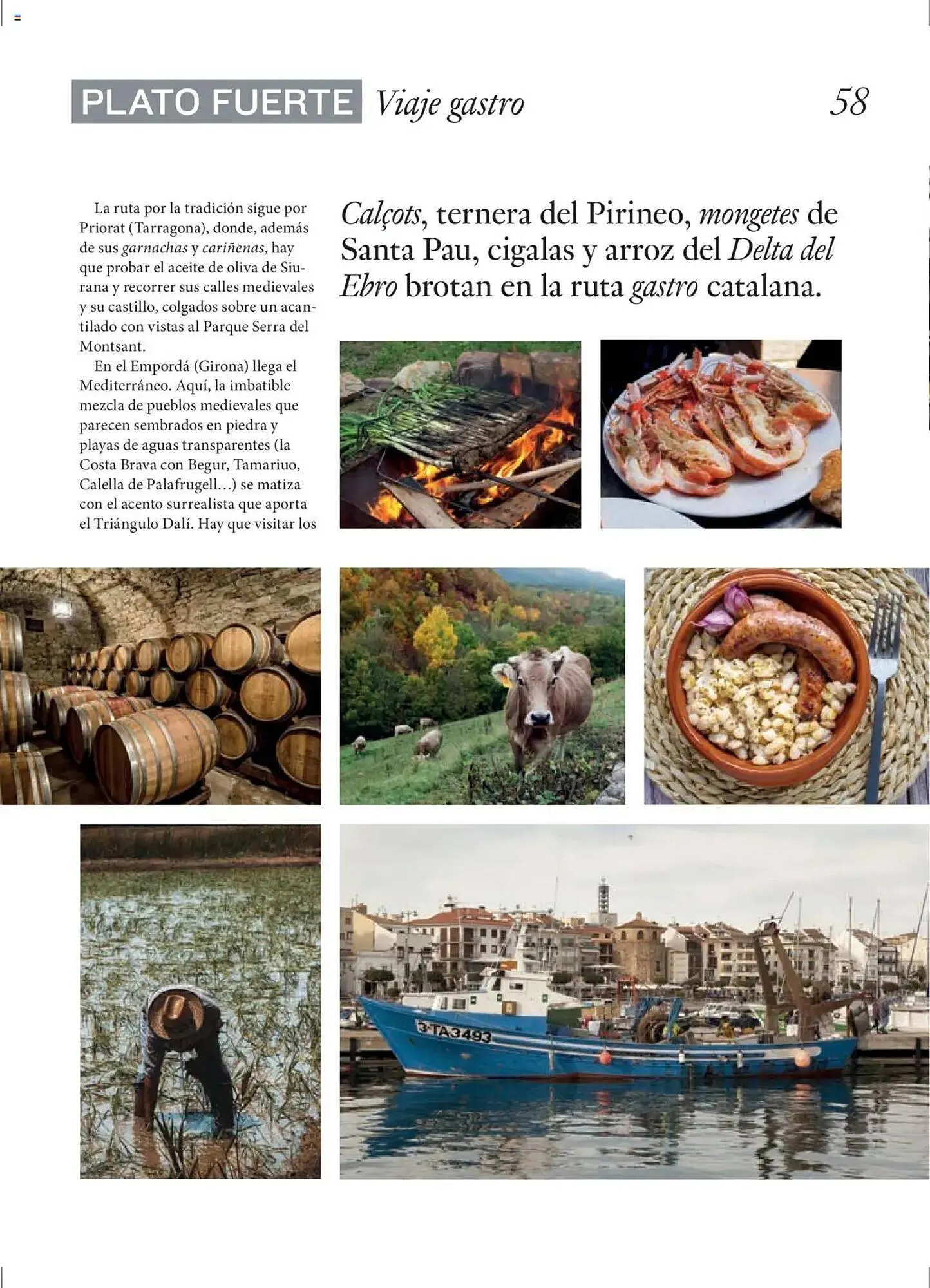 Catálogo de Folleto El Corte Inglés 27 de junio al 31 de agosto 2025 - Página 58