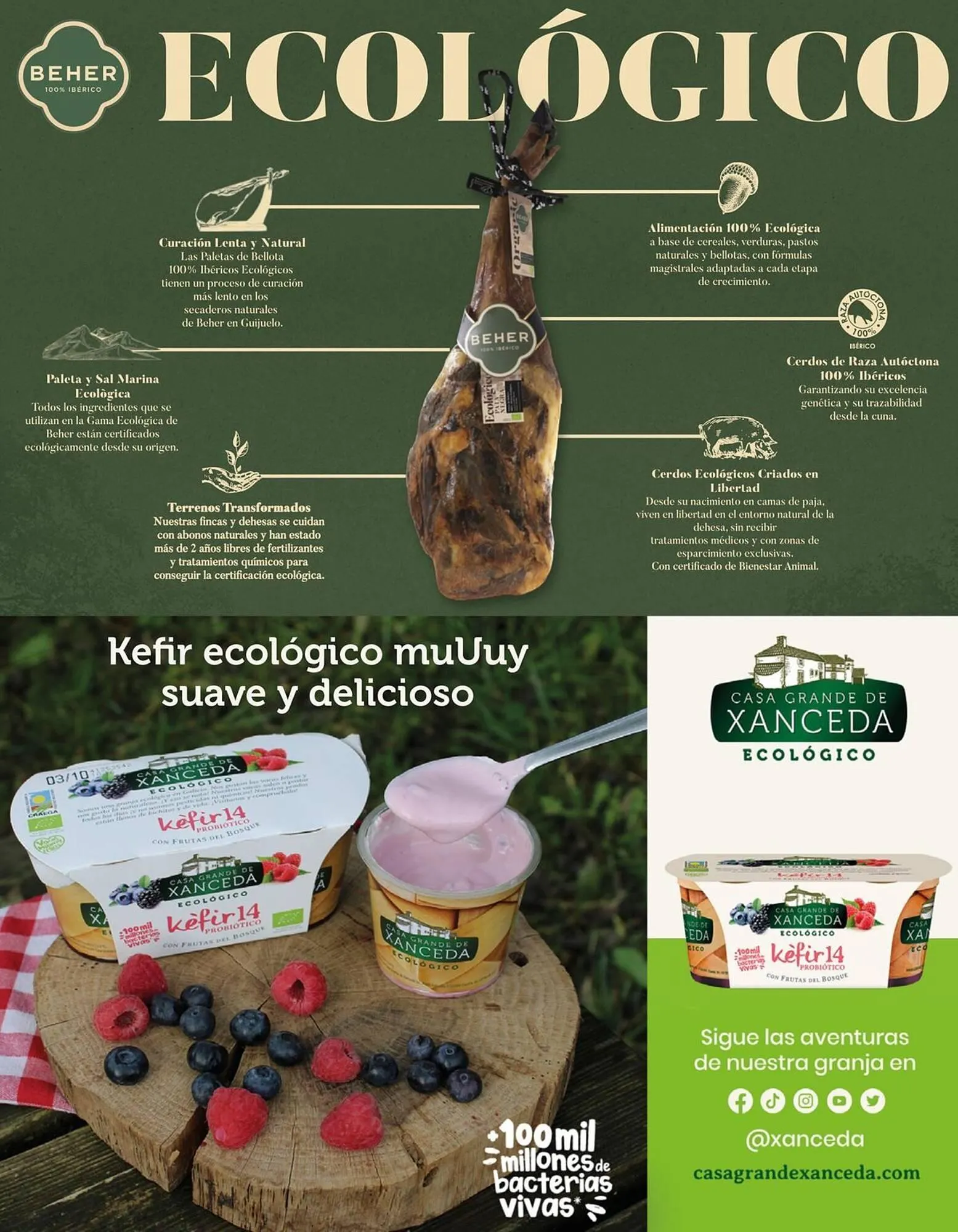 Catálogo de Catálogo Veritas 1 de octubre al 31 de octubre 2025 - Página 36