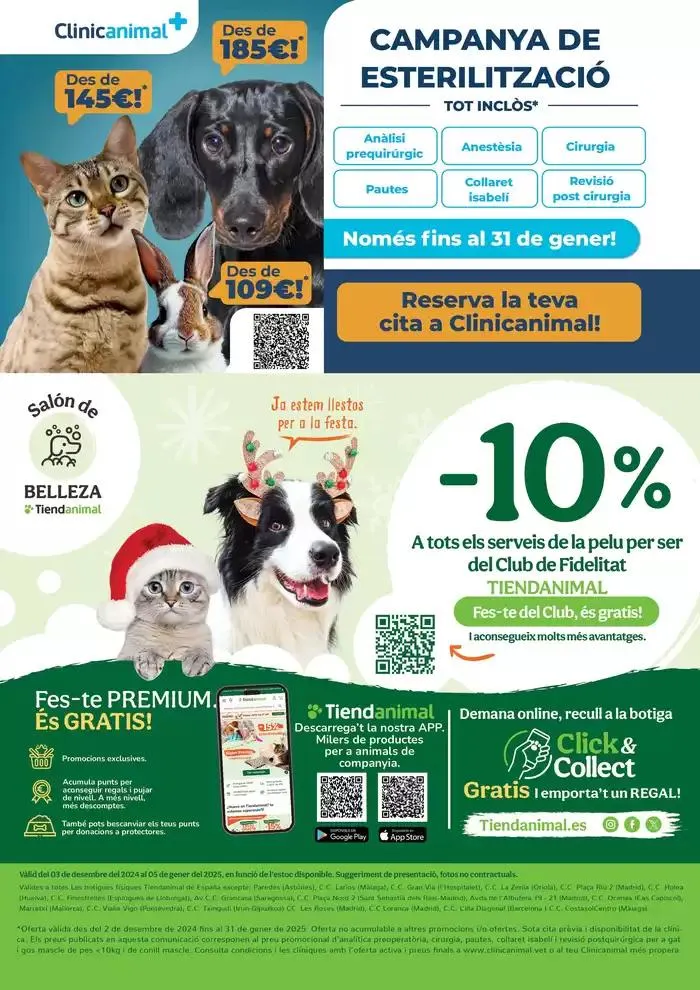 Catálogo de Amb els nostres elfs, cap animal es quedará sense el seu REGA 3 de diciembre al 5 de enero 2025 - Página 16