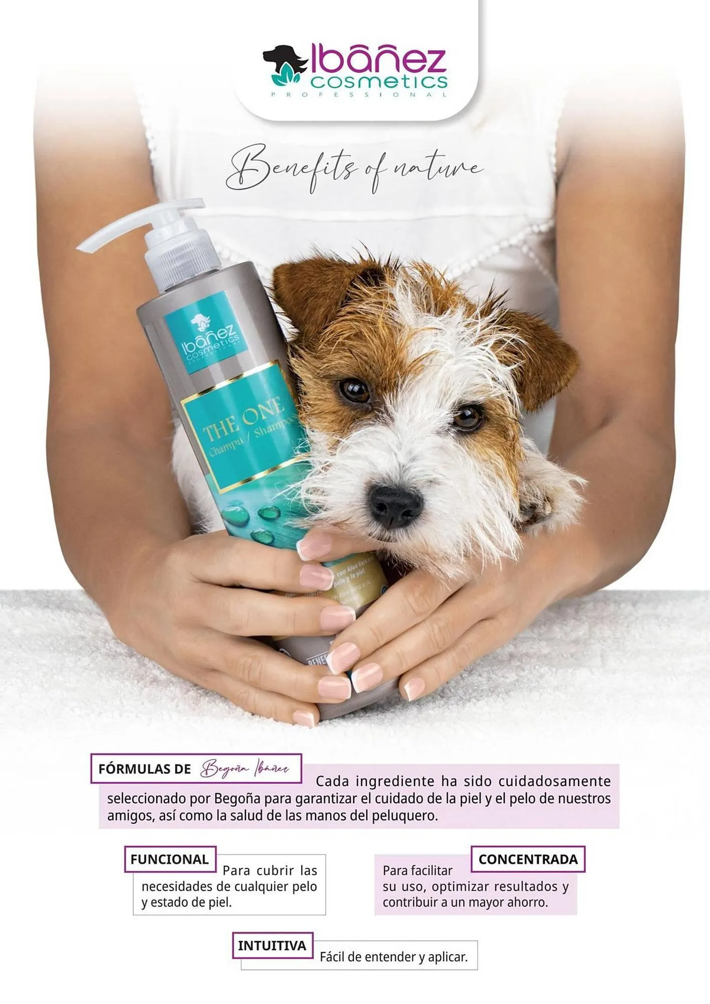 Catálogo de Folleto Setter Bakio 13 de junio al 31 de diciembre 2026 - Página 4