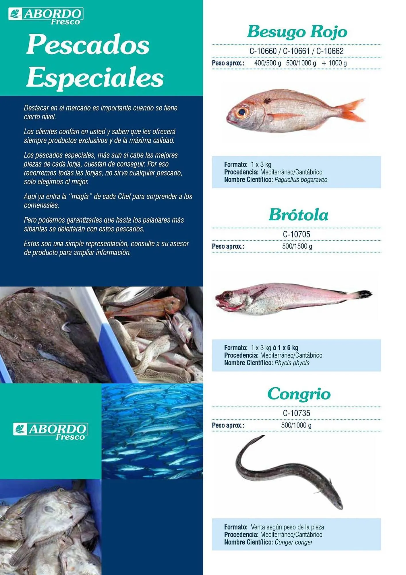 Catálogo de Folleto Abordo 5 de marzo al 30 de junio 2026 - Página 18