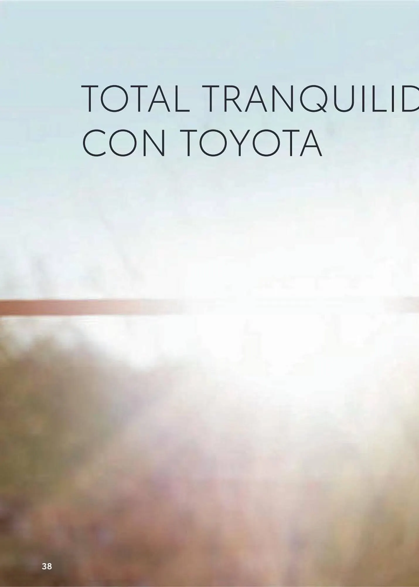 Catálogo de Folleto Toyota 8 de enero al 8 de enero 2024 - Página 74