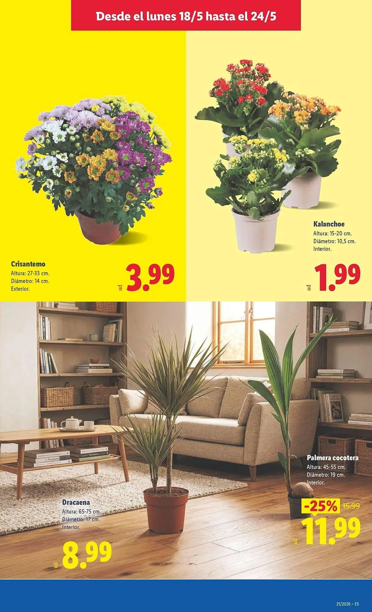 Catálogo de Catálogo Lidl 18 de mayo al 24 de mayo 2026 - Página 49