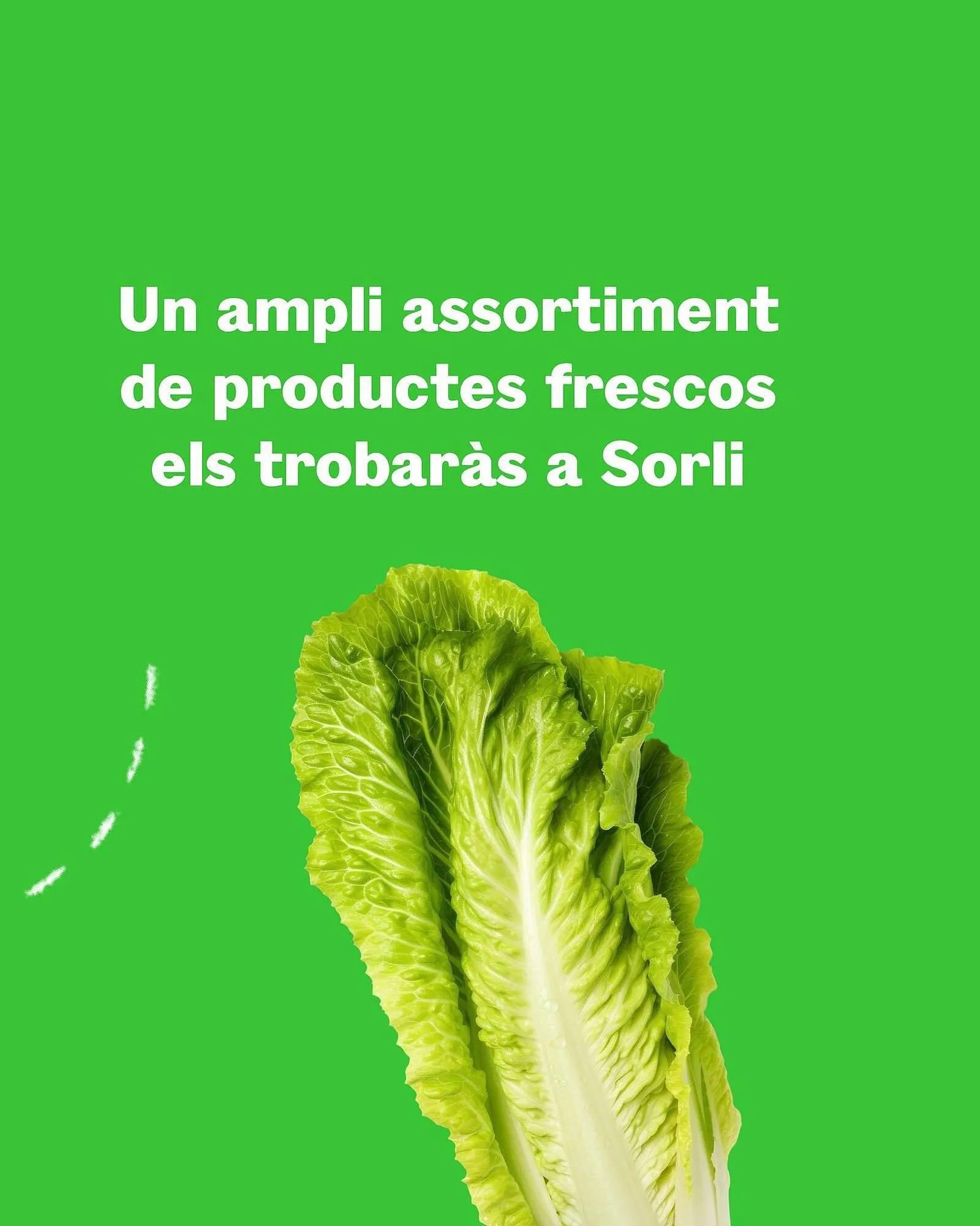 Catálogo de Folleto Sorli 5 de junio al 22 de junio 2025 - Página 4