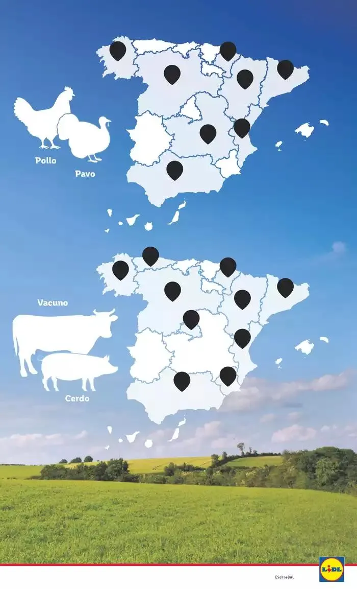 Catálogo de ¡Bazar Lidl! Ofertas válidas del 19/05 al 25/05 19 de mayo al 25 de mayo 2025 - Página 56