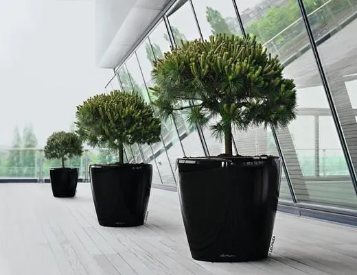 Maceta Lechuza autorriego Classico Premium 43,5 x 39 cm