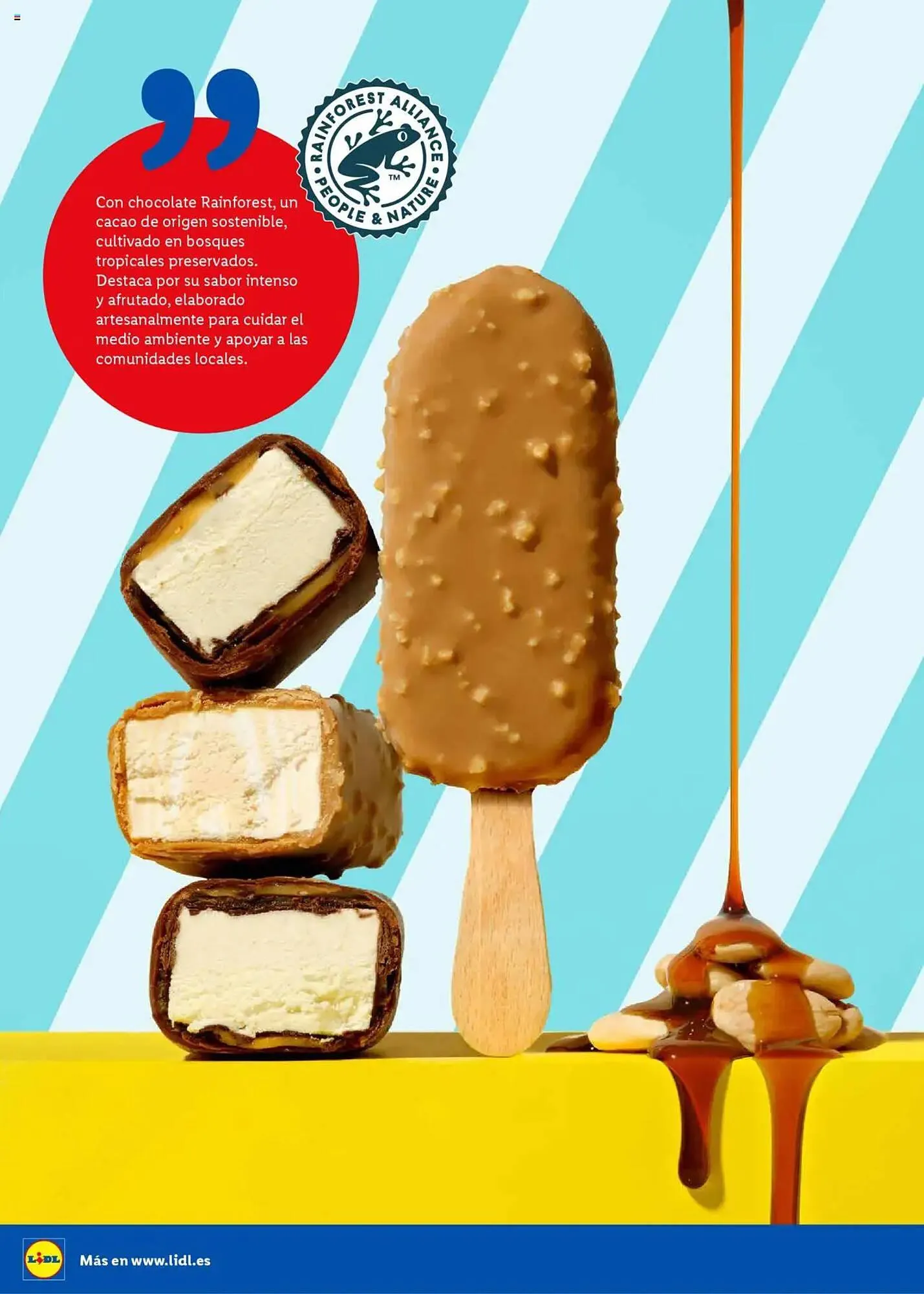 Catálogo de Folleto Lidl 23 de junio al 31 de agosto 2025 - Página 16