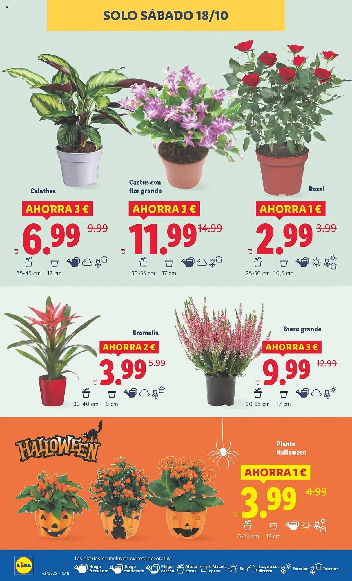 Catálogo de Catálogo Lidl 13 de octubre al 19 de octubre 2025 - Página 42