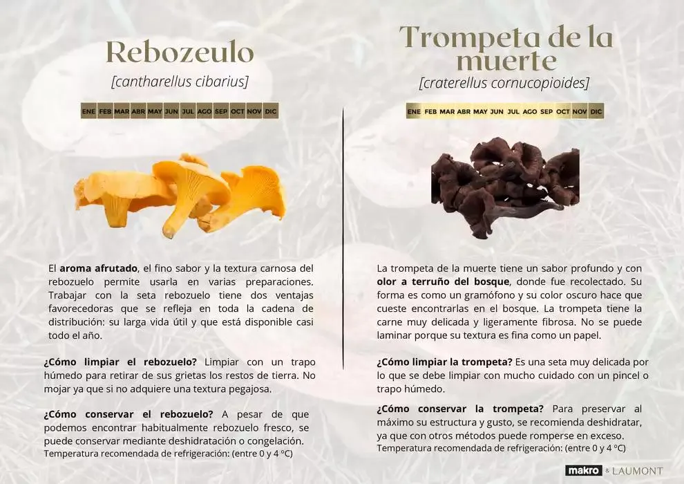 Catálogo de GUIA DE TRUFAS Y SETAS MAKRO - MAKRO 31 de diciembre al 14 de enero 2025 - Página 8
