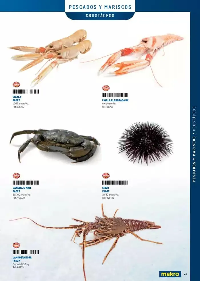 Catálogo de Especia Carta Canarias 8 de abril al 31 de diciembre 2025 - Página 47