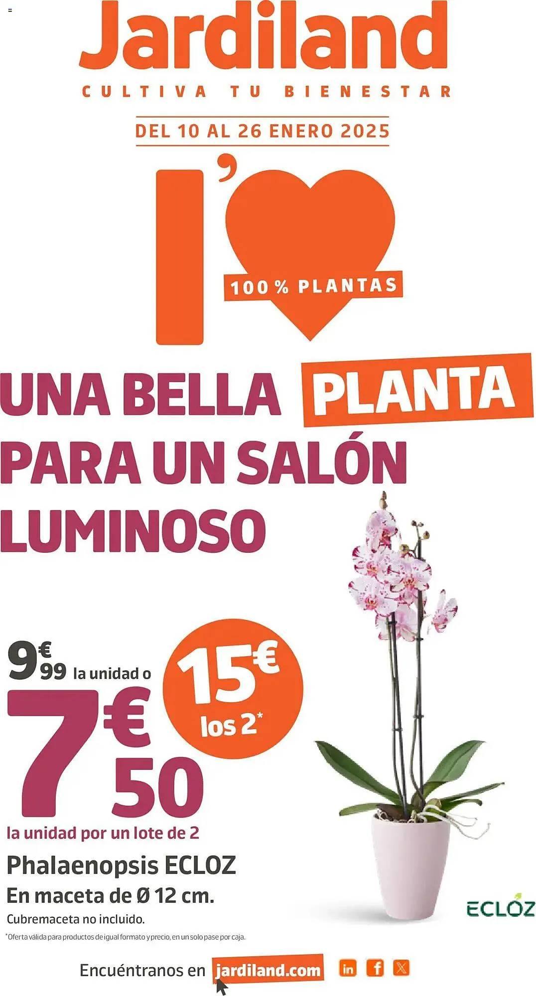 Folleto Jardiland - 1