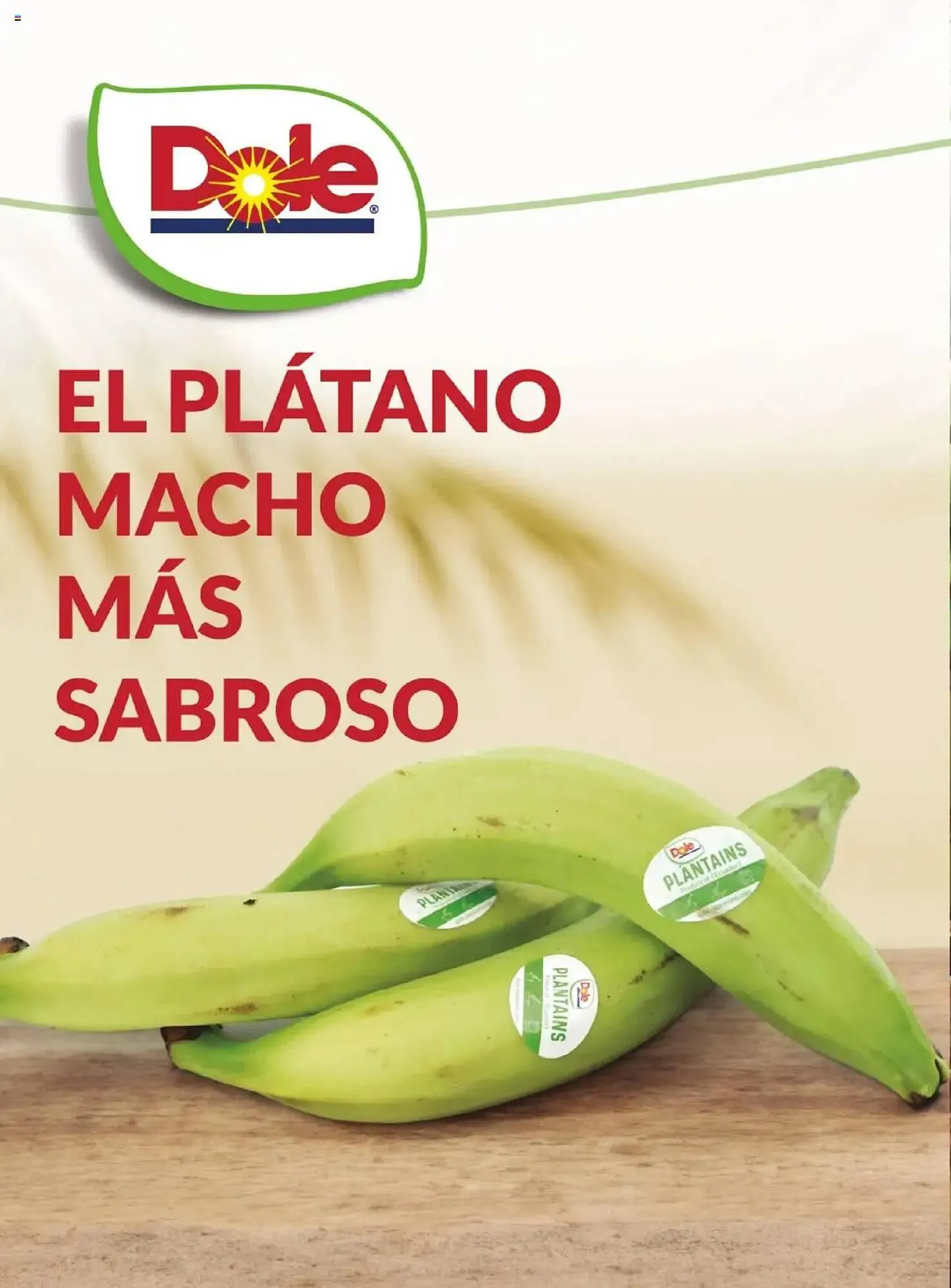 Catálogo de Folleto Costco 8 de abril al 31 de julio 2025 - Página 100