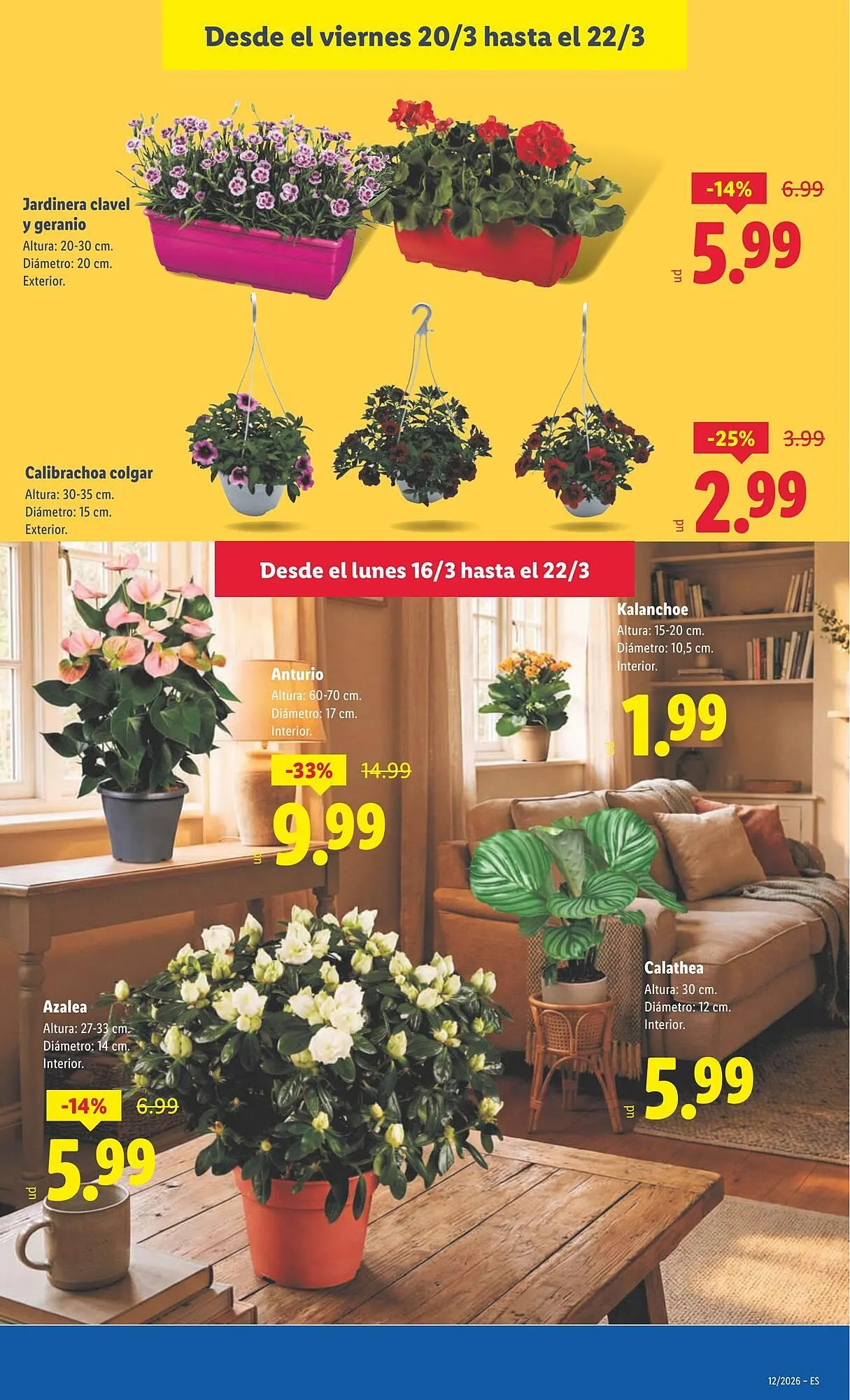 Catálogo de Catálogo Lidl 16 de marzo al 22 de marzo 2026 - Página 45