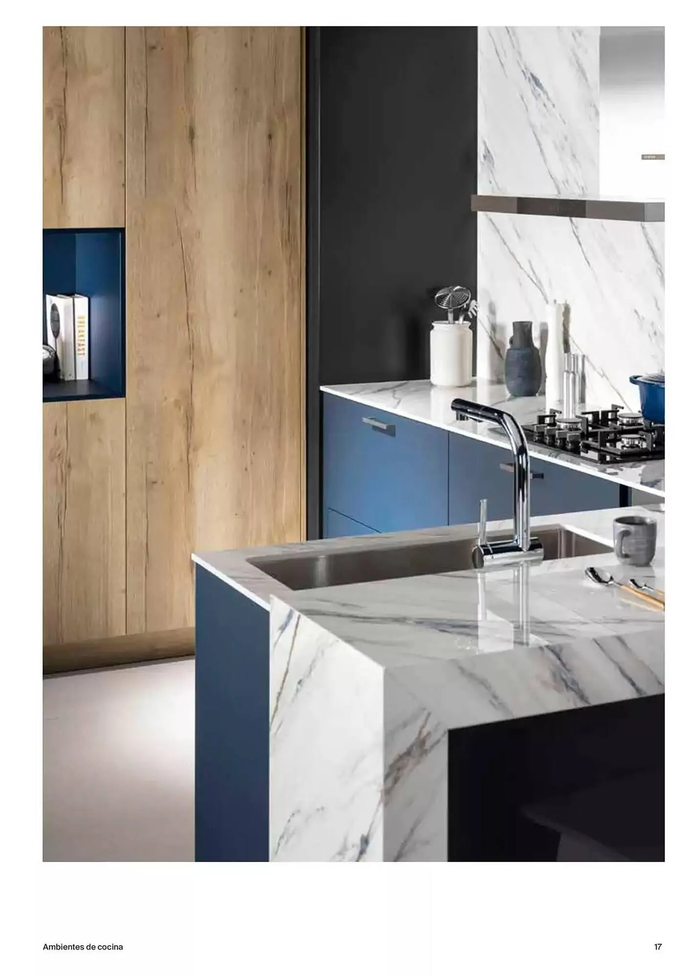 Catálogo de Folleto Roca 9 de enero al 31 de diciembre 2025 - Página 17