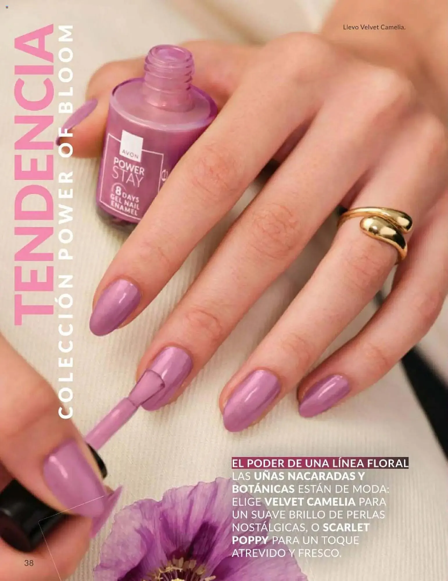 Catálogo de Catálogo AVON 1 de mayo al 31 de mayo 2026 - Página 38