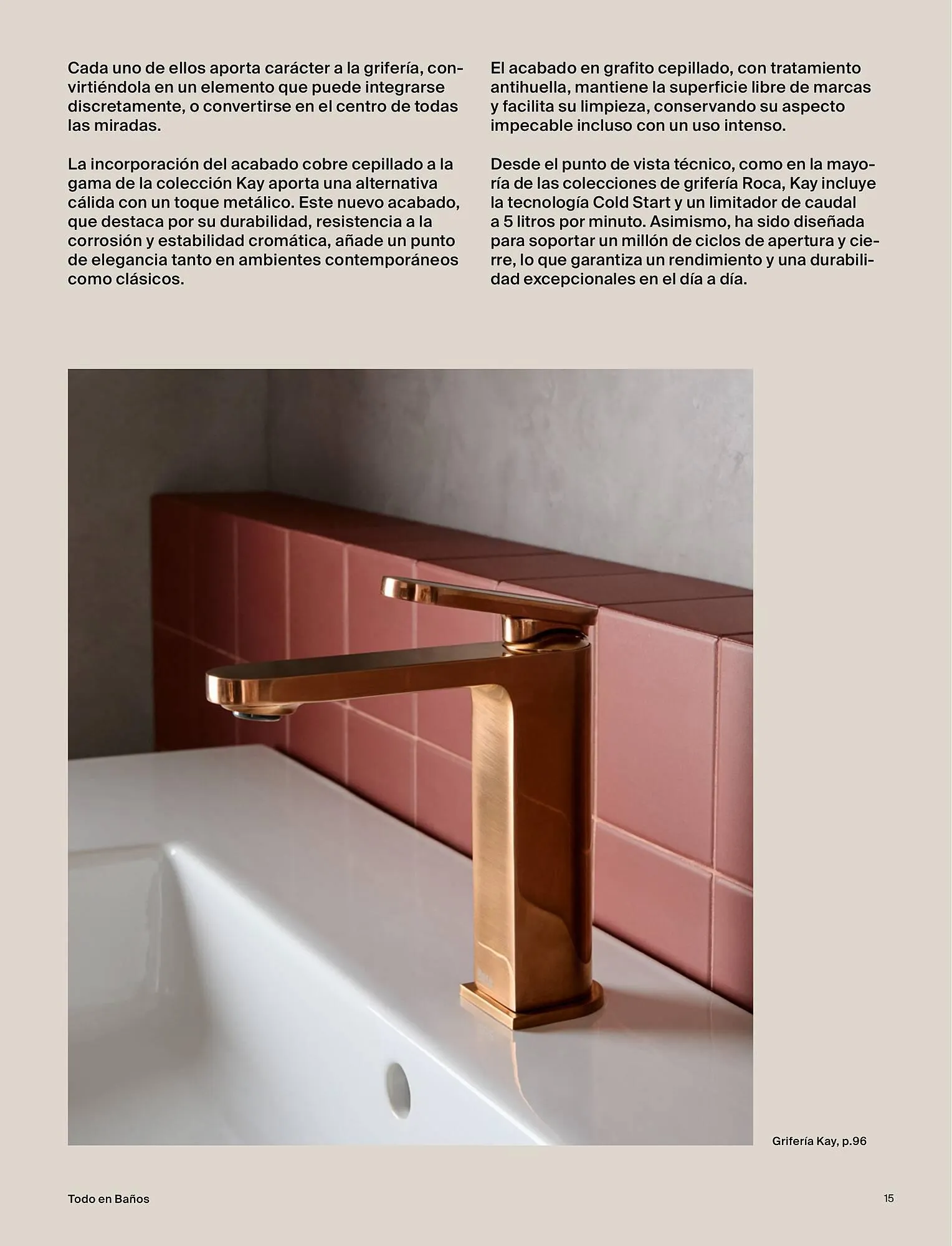 Catálogo de Catálogo Roca 15 de abril al 31 de mayo 2026 - Página 17