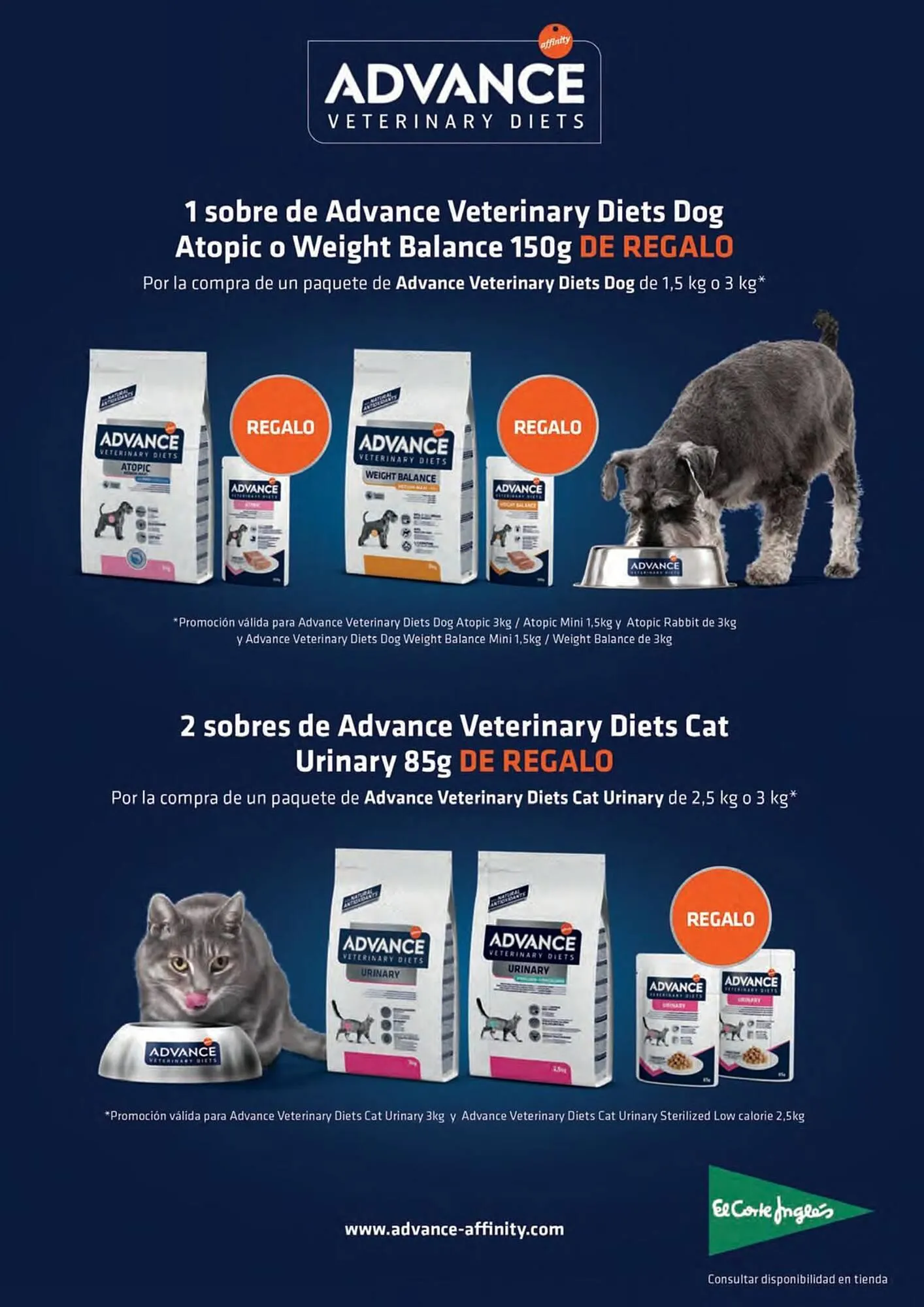 Catálogo de Folleto El Corte Inglés 8 de enero al 31 de enero 2024 - Página 2