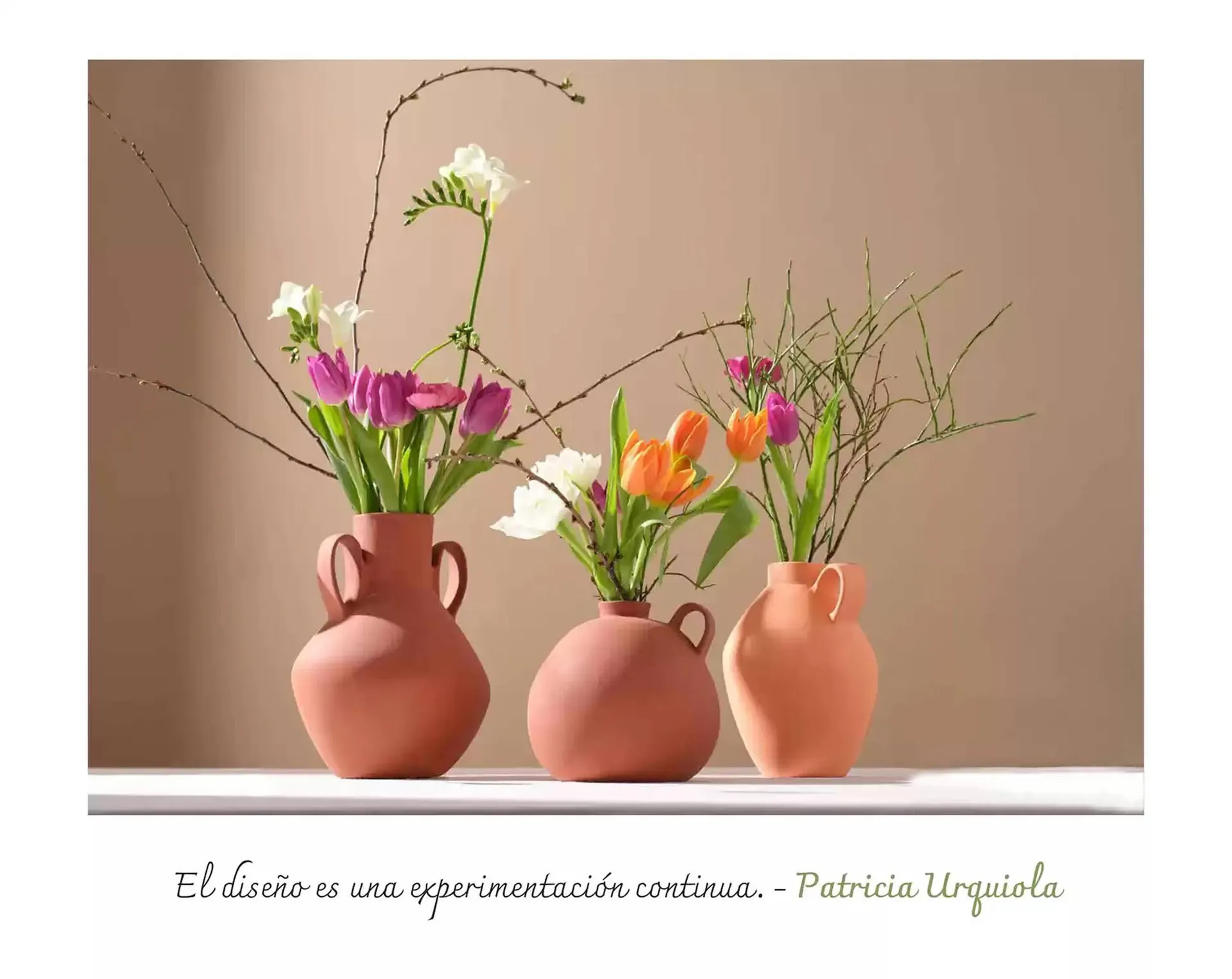 Catálogo de Folleto La Oca 19 de marzo al 31 de diciembre 2025 - Página 12