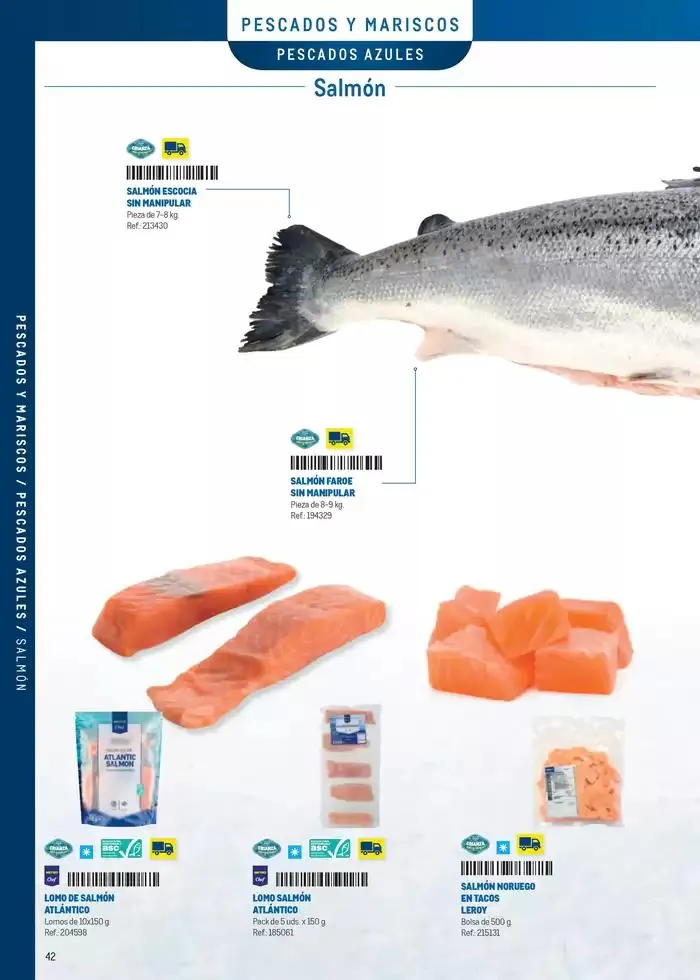 Catálogo de Especia Carta Canarias 8 de abril al 31 de diciembre 2025 - Página 42