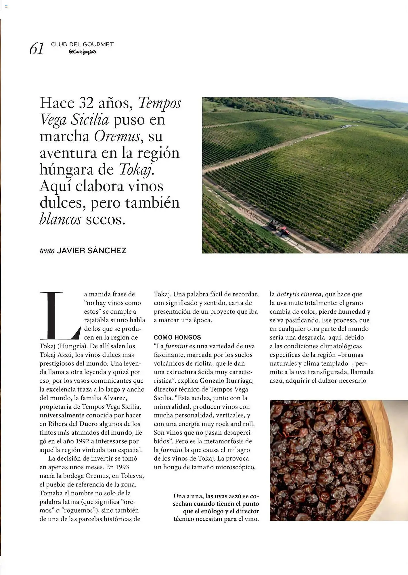 Catálogo de Catálogo El Corte Inglés 11 de diciembre al 31 de marzo 2026 - Página 61