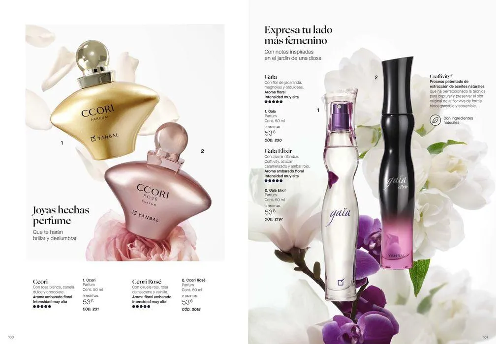 Catálogo de CATÁLOGO ANUAL 2024 12 de junio al 31 de diciembre 2024 - Página 51