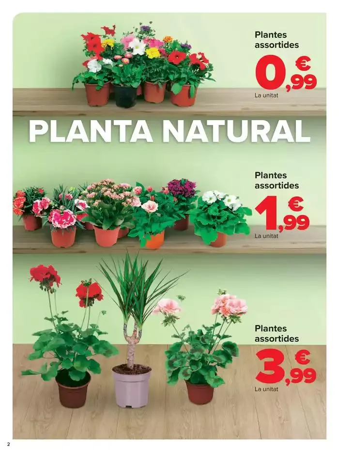 Catálogo de JARDÍN 20 de febrero al 13 de marzo 2025 - Página 2