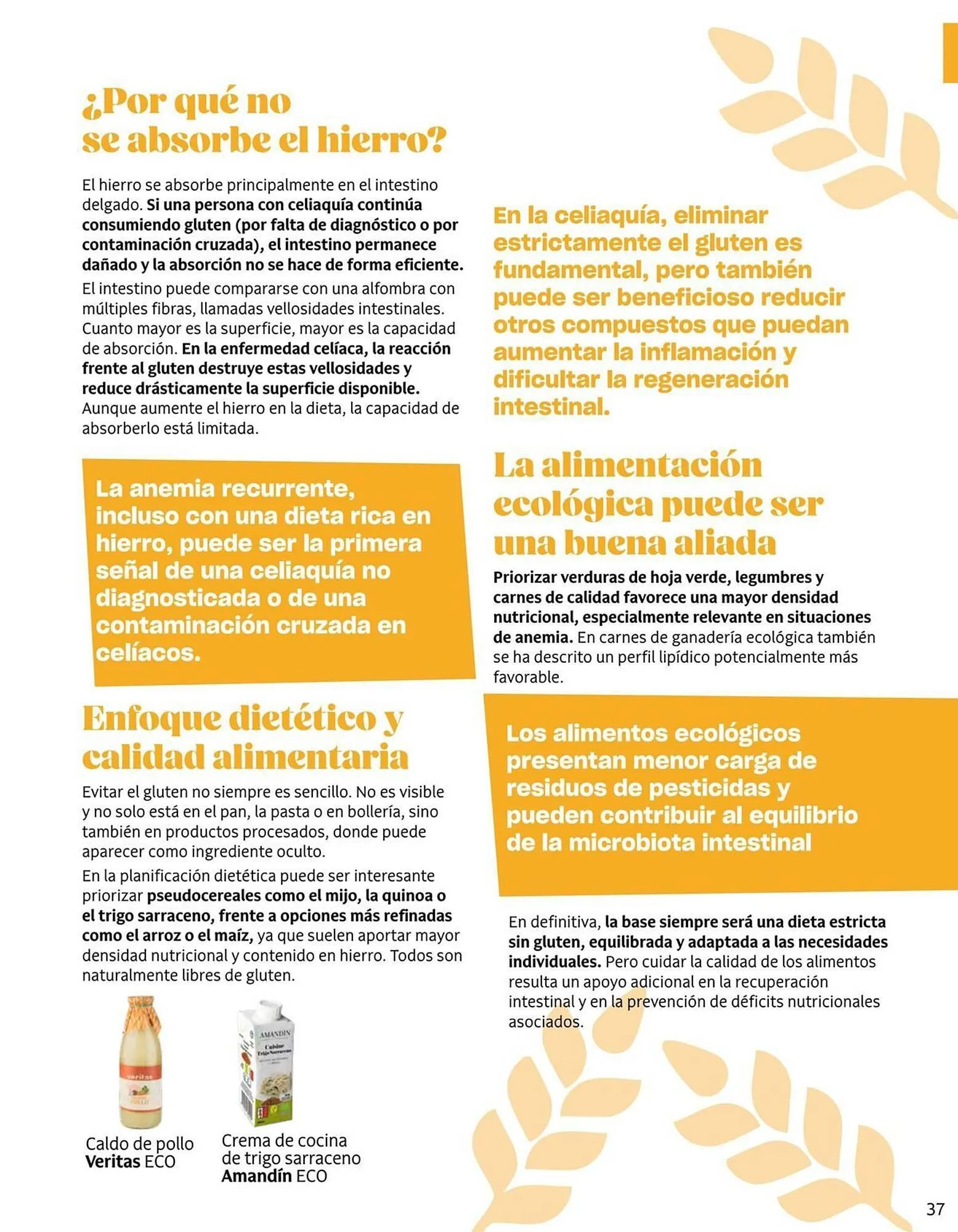 Catálogo de Catálogo Veritas 3 de abril al 30 de junio 2026 - Página 37