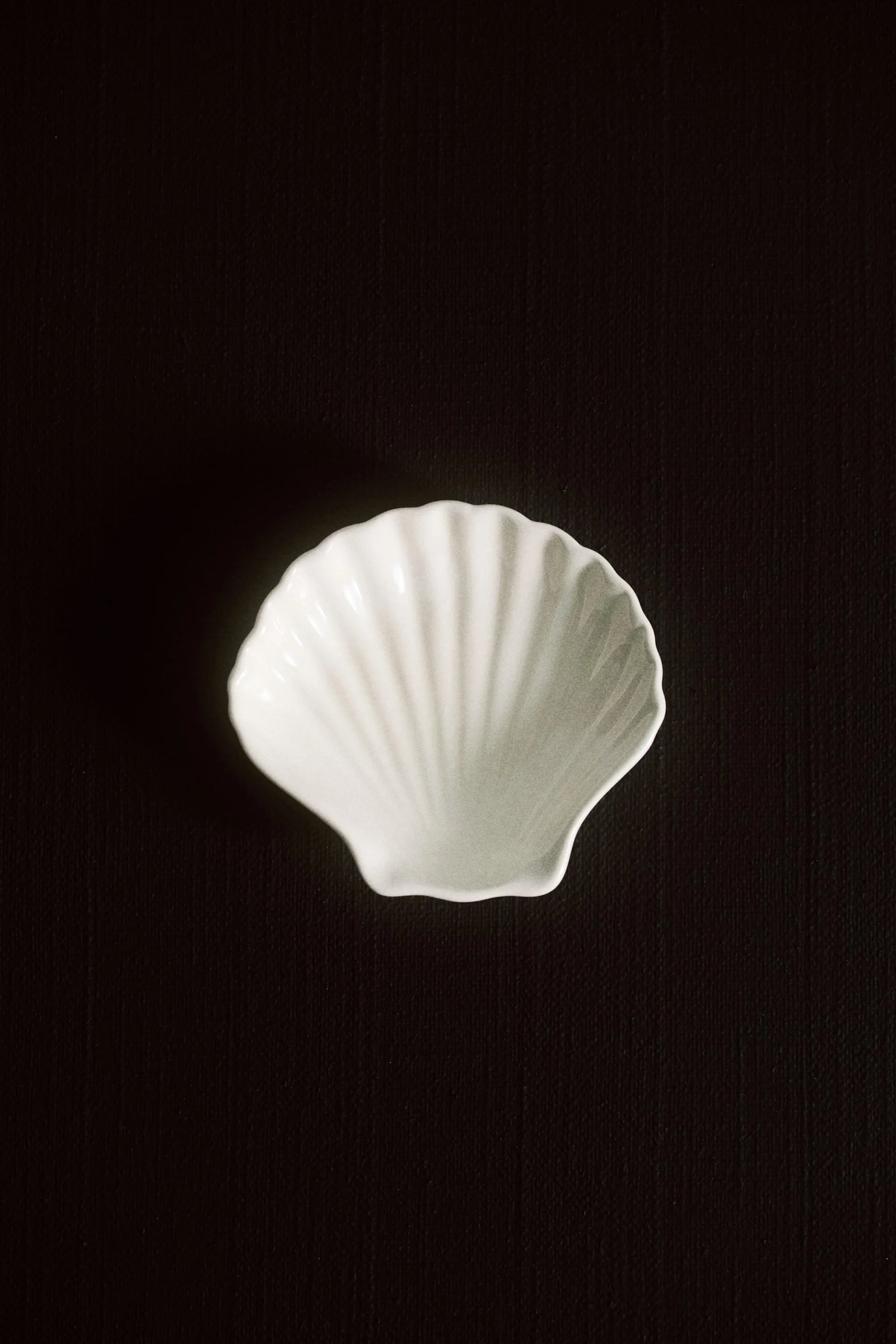 Miniplato con forma de concha