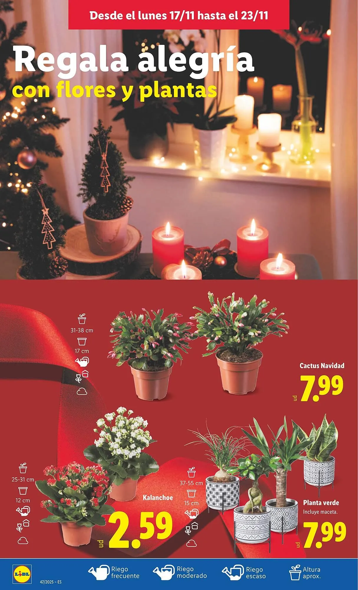 Catálogo de Catálogo Lidl 17 de noviembre al 23 de noviembre 2025 - Página 50