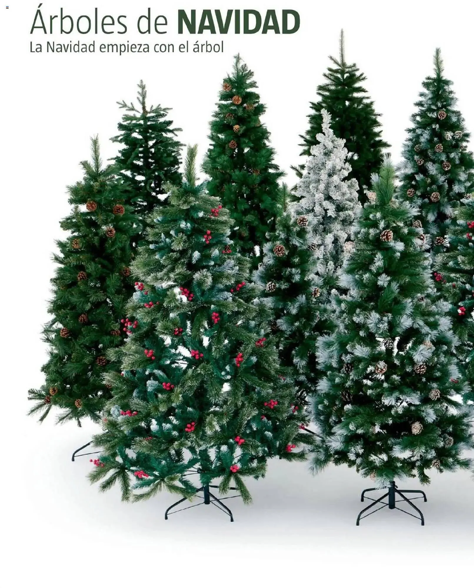 Catálogo de Catálogo Bauhaus 5 de noviembre al 24 de diciembre 2025 - Página 40