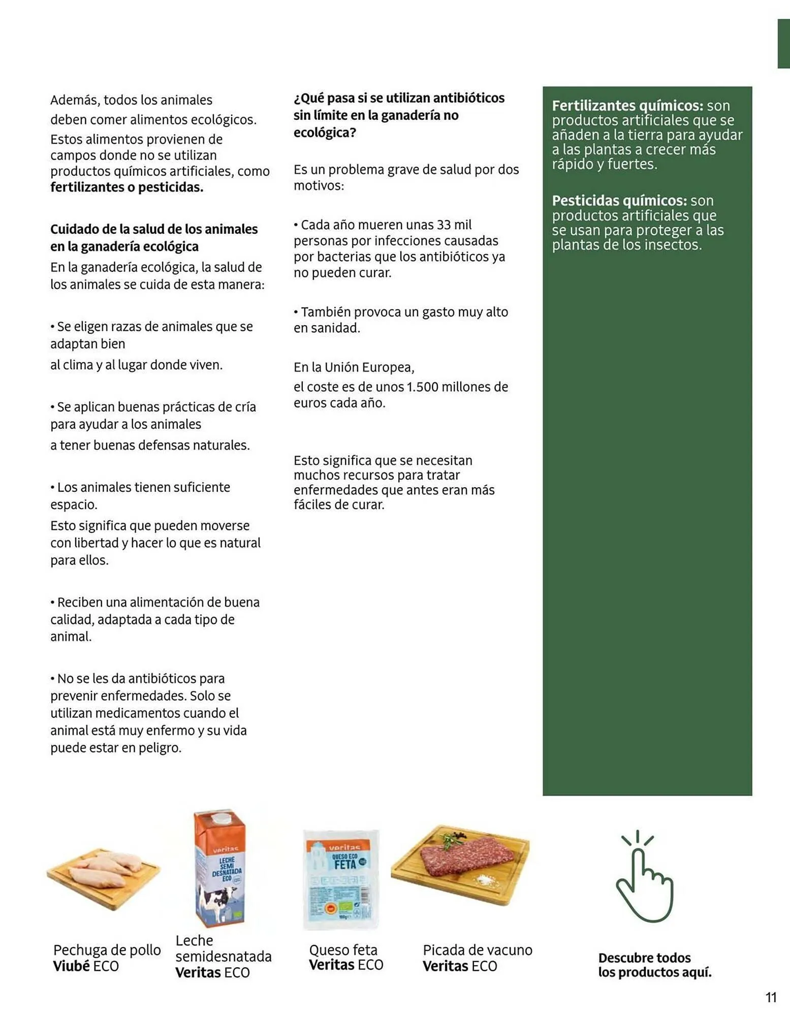 Catálogo de Catálogo Veritas 3 de abril al 30 de junio 2026 - Página 11