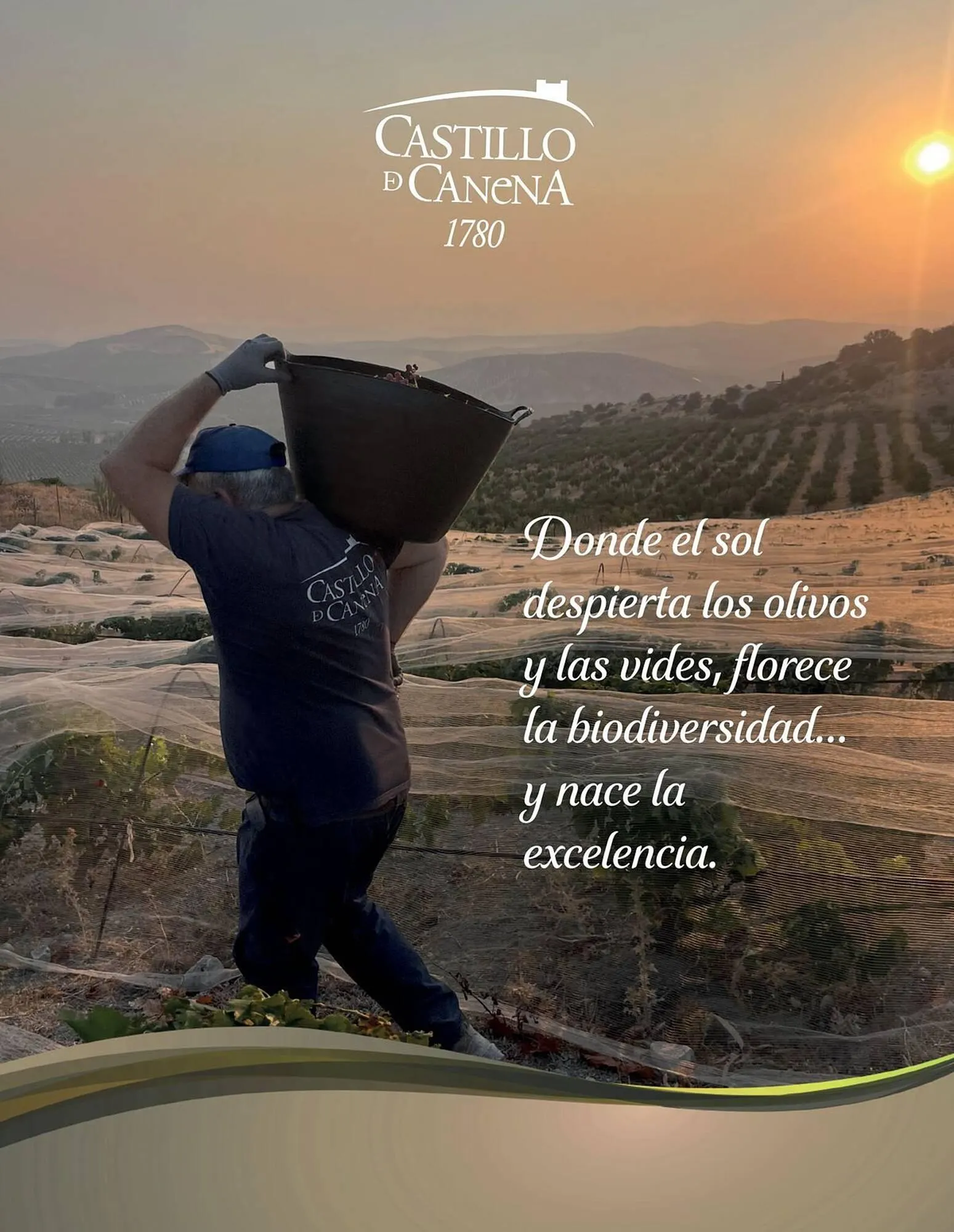 Catálogo de Catálogo El Corte Inglés 19 de noviembre al 31 de enero 2026 - Página 76