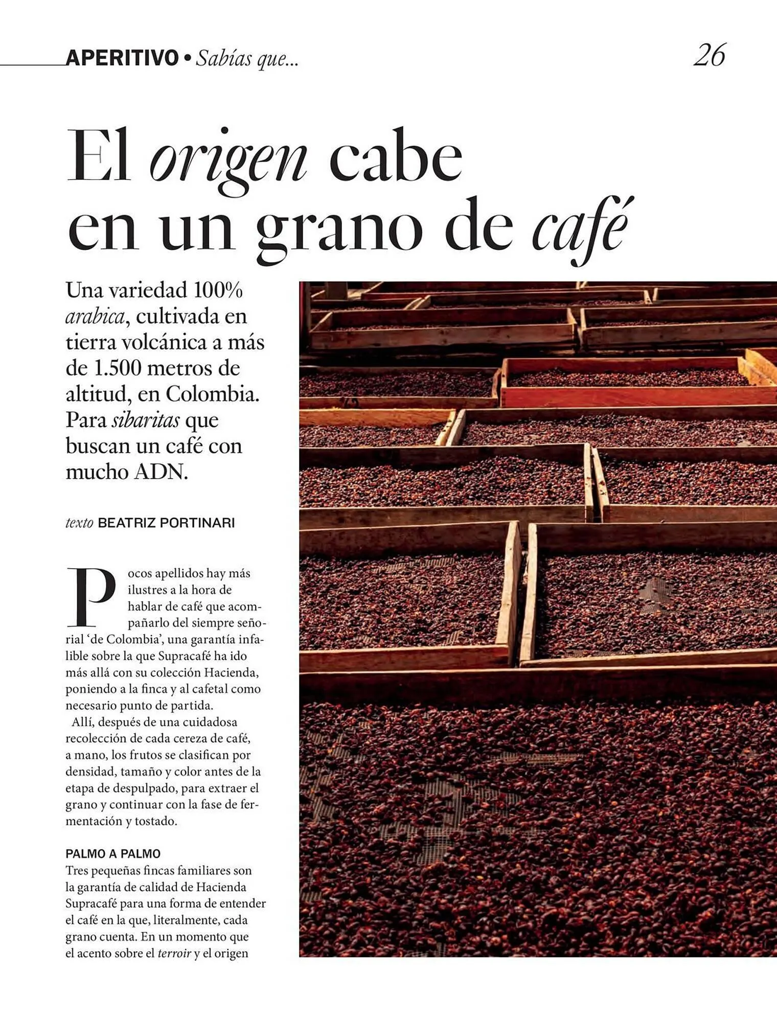 Catálogo de Catálogo El Corte Inglés 24 de marzo al 31 de mayo 2026 - Página 26