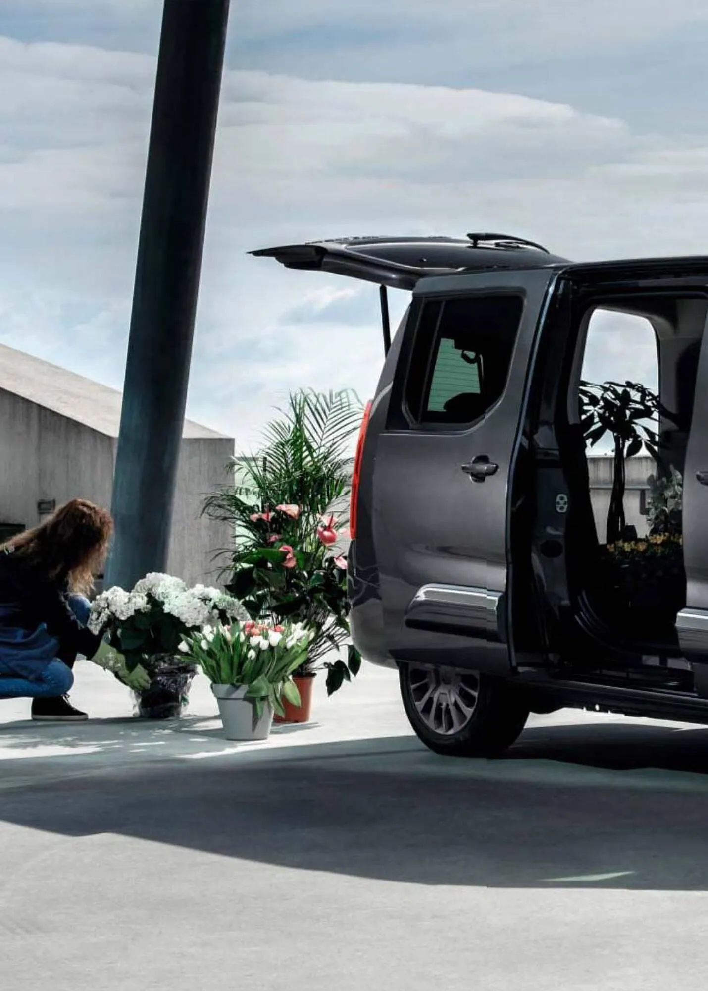 Catálogo de Folleto Toyota 8 de enero al 8 de enero 2024 - Página 55