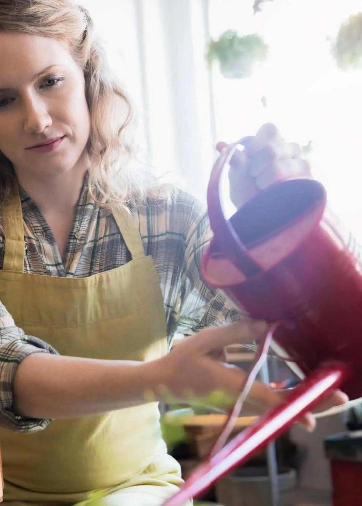 Catálogo de Folleto Toyota 8 de enero al 8 de enero 2024 - Página 111